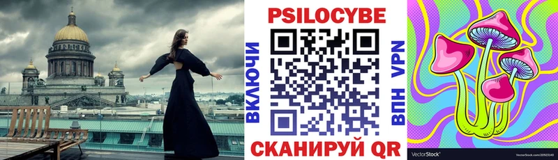 Купить где  Каменногорск  Галлюциногенные грибы мицелий 