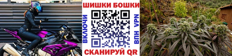 Каннабис SATIVA & INDICA  Купить закладки  Каменногорск 